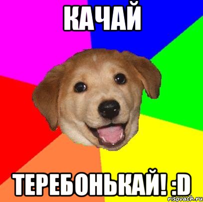 КАЧАЙ ТЕРЕБОНЬКАЙ! :D, Мем Advice Dog