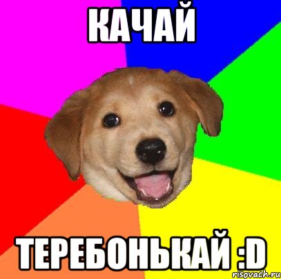 КАЧАЙ ТЕРЕБОНЬКАЙ :D, Мем Advice Dog