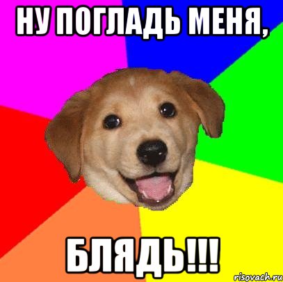 НУ ПОГЛАДЬ МЕНЯ, БЛЯДЬ!!!, Мем Advice Dog