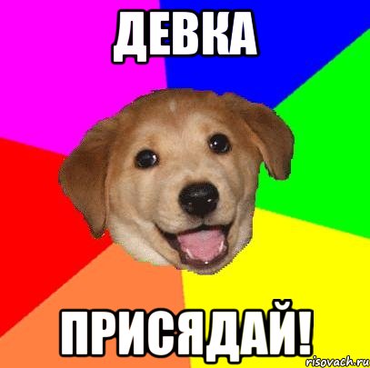 Девка Присядай!, Мем Advice Dog