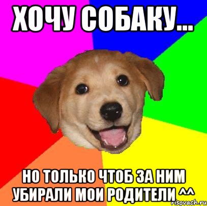 Хочу собаку... Но только чтоб за ним убирали мои родители ^^, Мем Advice Dog