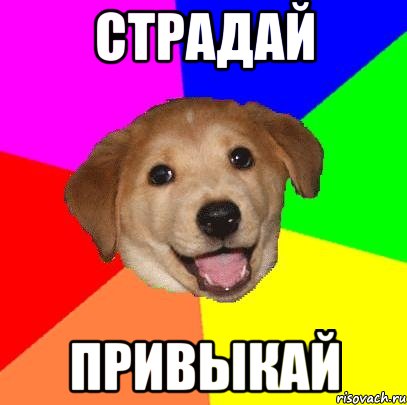 Страдай Привыкай, Мем Advice Dog