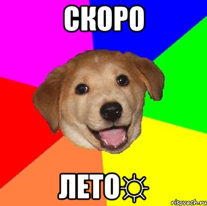 Скоро Лето☼, Мем Advice Dog