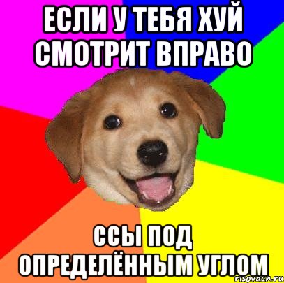 Если у тебя хуй смотрит вправо Ссы Под определённым углом, Мем Advice Dog