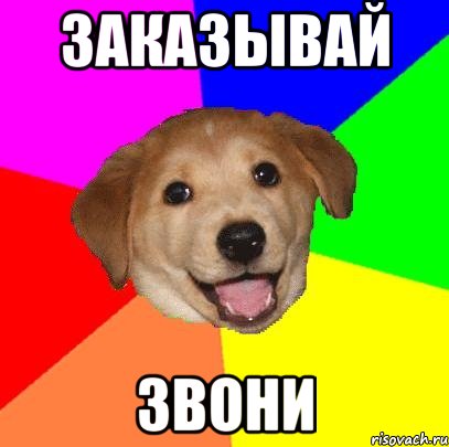 Заказывай Звони, Мем Advice Dog