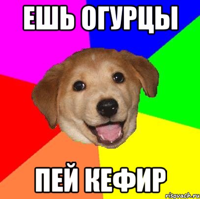 ешь огурцы пей кефир, Мем Advice Dog