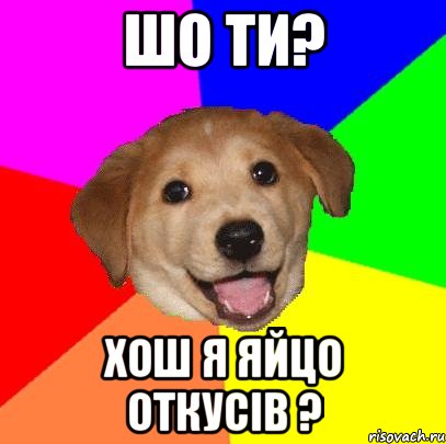 Шо ти? хош я яйцо откусiв ?, Мем Advice Dog