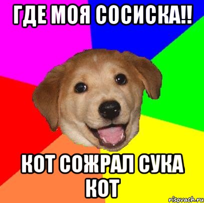 ГДЕ МОЯ СОСИСКА!! КОТ СОЖРАЛ СУКА КОТ, Мем Advice Dog