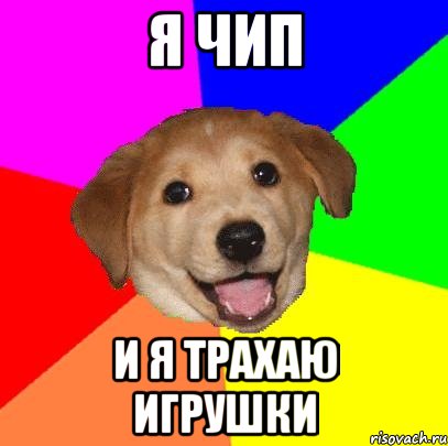 Я Чип И я трахаю игрушки, Мем Advice Dog