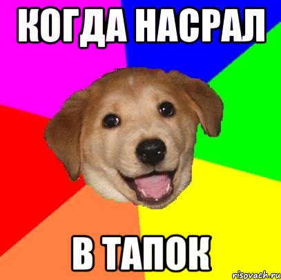 Когда насрал в тапок, Мем Advice Dog