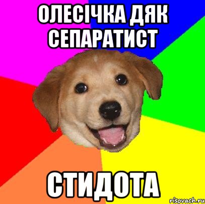 Олесічка Дяк сепаратист СТИДОТА, Мем Advice Dog