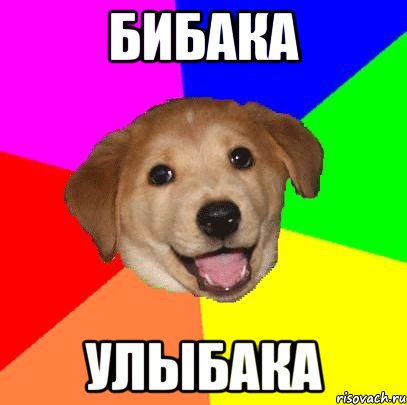 бибака улыбака, Мем Advice Dog