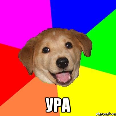  ура, Мем Advice Dog