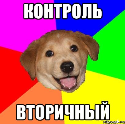 контроль вторичный, Мем Advice Dog