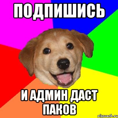 Подпишись И админ даст Паков, Мем Advice Dog