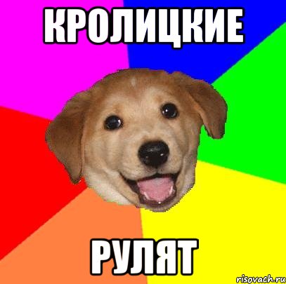 кролицкие рулят, Мем Advice Dog