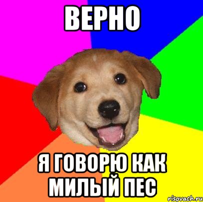 Верно Я говорю как милый пес, Мем Advice Dog