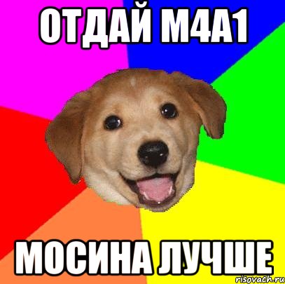 Отдай м4а1 Мосина Лучше, Мем Advice Dog