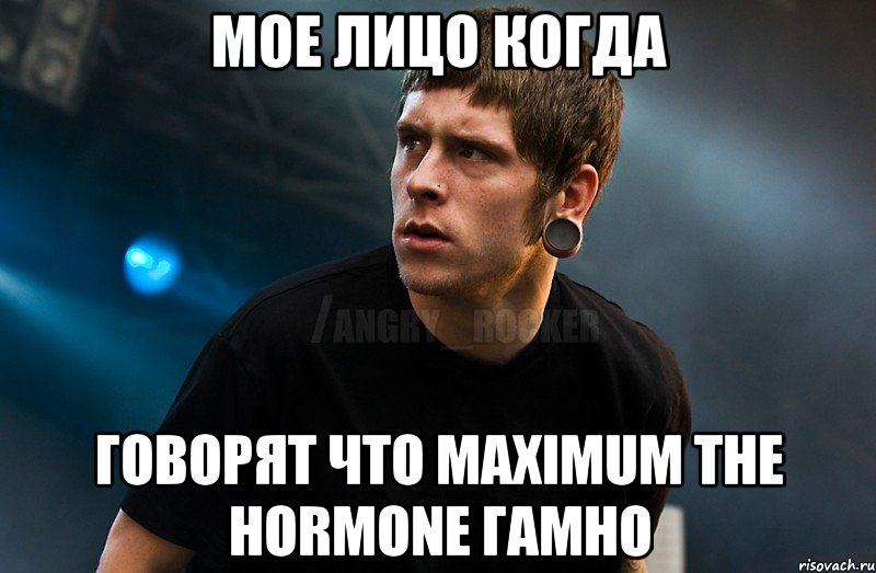 Мое лицо когда Говорят что Maximum the hormone гамно