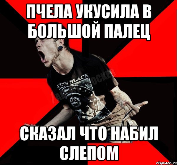 ПЧЕЛА УКУСИЛА В БОЛЬШОЙ ПАЛЕЦ СКАЗАЛ ЧТО НАБИЛ СЛЕПОМ, Мем Агрессивный рокер