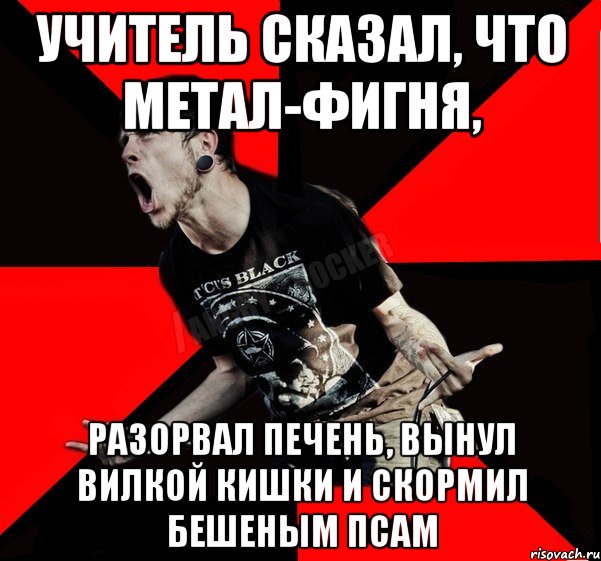 Учитель сказал, что метал-фигня, Разорвал печень, вынул вилкой кишки и скормил бешеным псам, Мем Агрессивный рокер