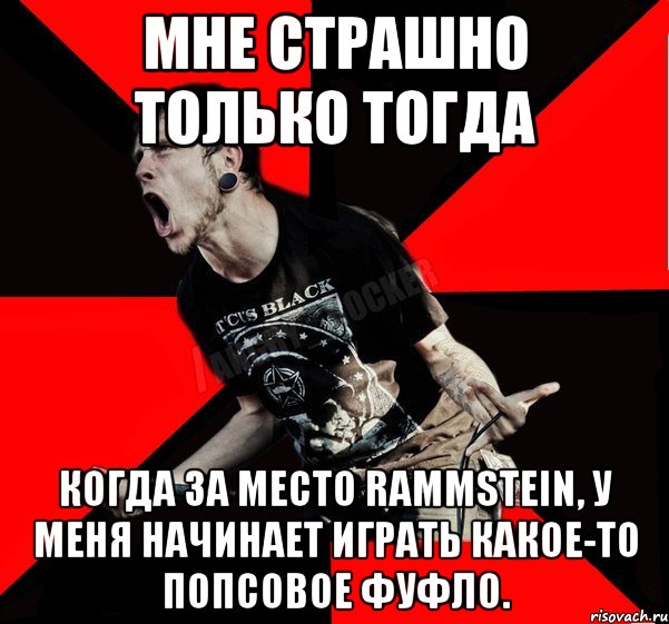 Мне страшно только тогда Когда за место Rammstein, у меня начинает играть какое-то попсовое фуфло., Мем Агрессивный рокер