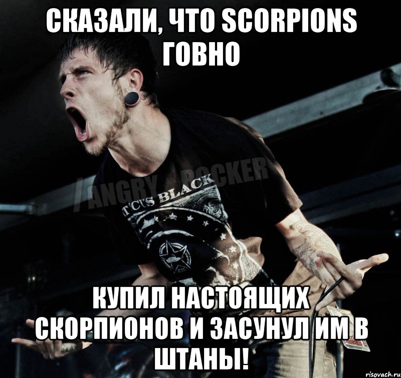 Сказали, что Scorpions говно Купил настоящих скорпионов и засунул им в штаны!, Мем Агрессивный Рокер