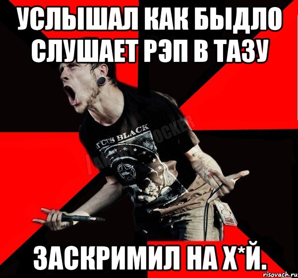 Услышал как быдло слушает рэп в тазу Заскримил на х*й., Мем Агрессивный рокер