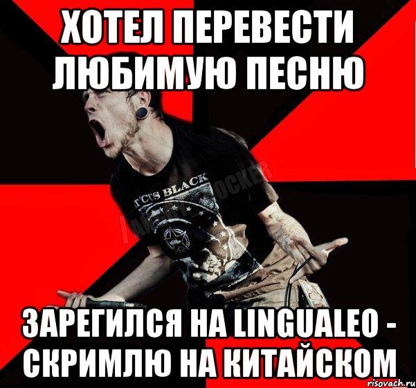 Хотел перевести любимую песню зарегился на LinguaLeo - Скримлю на Китайском, Мем Агрессивный рокер