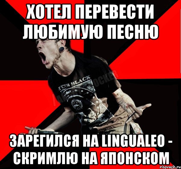 Хотел перевести любимую песню зарегился на LinguaLeo - Скримлю на японском, Мем Агрессивный рокер