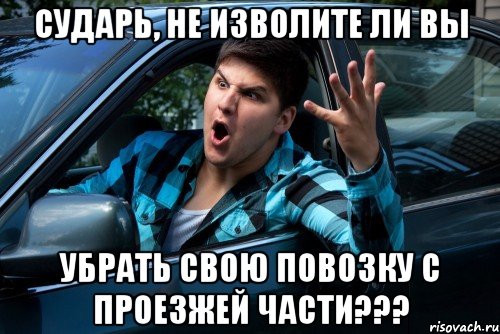 СУДАРЬ, НЕ ИЗВОЛИТЕ ЛИ ВЫ УБРАТЬ СВОЮ ПОВОЗКУ С ПРОЕЗЖЕЙ ЧАСТИ???, Мем Агрессивный водитель