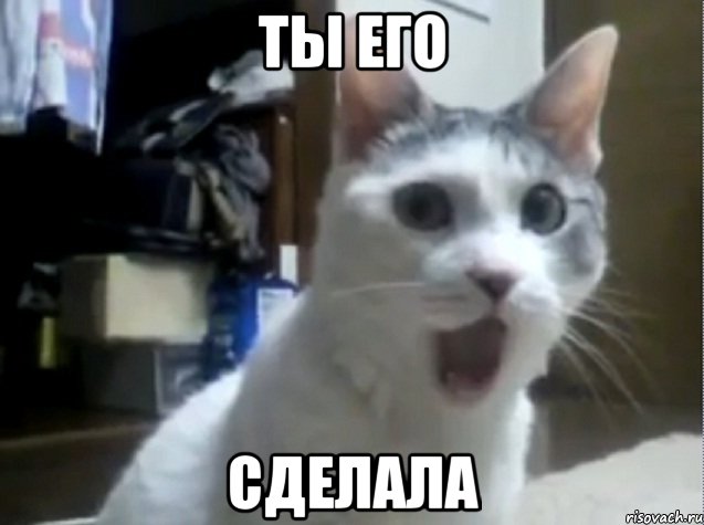 ты его сделала, Мем Ах ты ж хитрая жопа