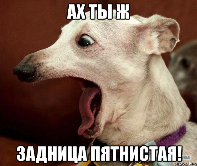 Ах ты ж Задница Пятнистая!, Мем Ах ты ж хитрая жопа