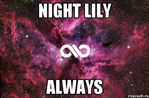 Night Lily Always, Мем офигенно