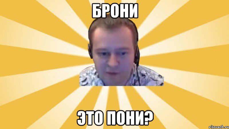 Брони Это пони?