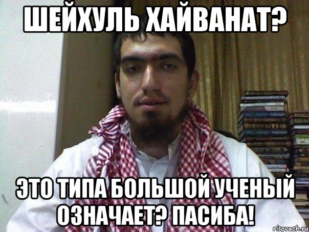 шейхуль хайванат? это типа большой ученый означает? пасиба!, Мем артем