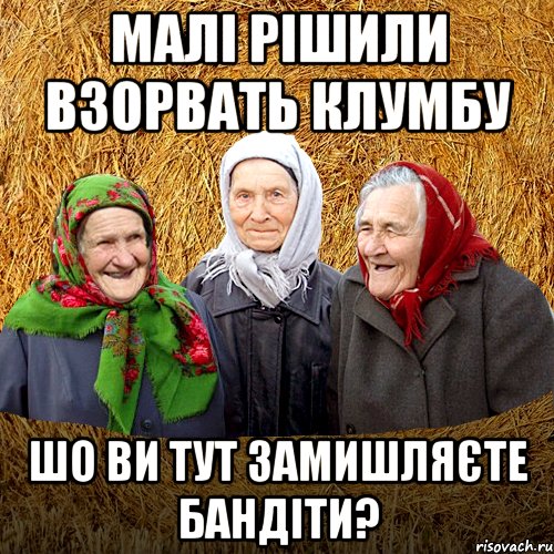 малі рішили взорвать клумбу шо ви тут замишляєте бандіти?, Мем  Баба Нюра плетница