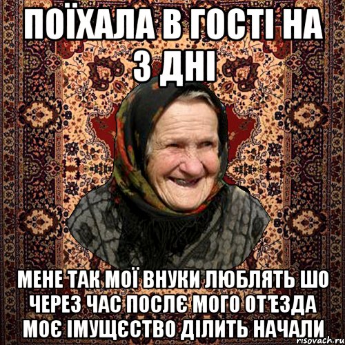 поїхала в гості на 3 дні мене так мої внуки люблять шо через час послє мого от’езда моє імущєство ділить начали
