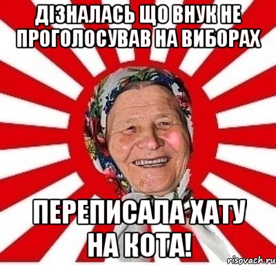 Дізналась що внук не проголосував на виборах Переписала хату на кота!, Мем  бабуля