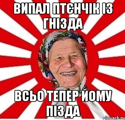 випал птєнчік із гнізда всьо тепер йому пізда