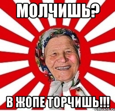 МОЛЧИШЬ? В ЖОПЕ ТОРЧИШЬ!!!, Мем  бабуля