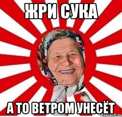 Жpи сука а то ветром унесёт, Мем  бабуля