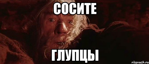 Сосите Глупцы