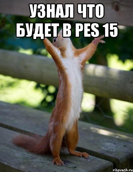 узнал что будет в pes 15 , Мем    белка молится