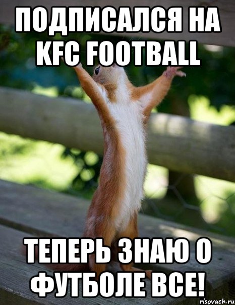 Подписался на KFC FOOTBALL Теперь знаю о футболе все!, Мем    белка молится