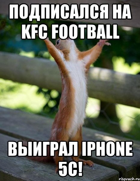 Подписался на KFC FOOTBALL Выиграл IPhone 5c!, Мем    белка молится