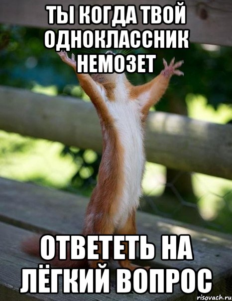 ты когда твой одноклассник немозет ответеть на лёгкий вопрос, Мем    белка молится