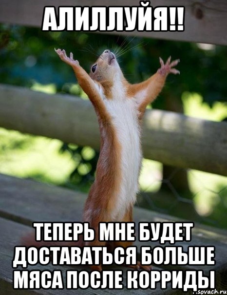Алиллуйя!! теперь мне будет доставаться больше мяса после корриды, Мем    белка молится