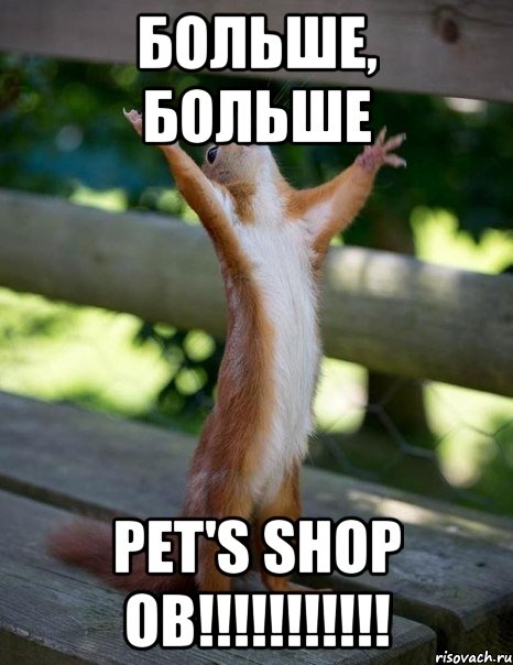 Больше, БОЛЬШЕ PET'S SHOP ов!!!!!!!!!!!, Мем    белка молится