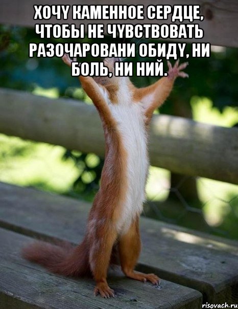 Xoчy кaмeннoe cepдцe, чтoбы нe чyвcтвoвaть paзoчaрoвaни oбидy, ни бoль, ни ний. , Мем    белка молится